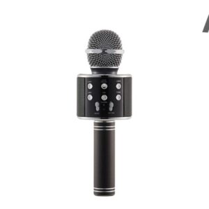 microphone ws-858